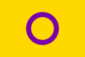 cropped-intersex_flag-svg.png