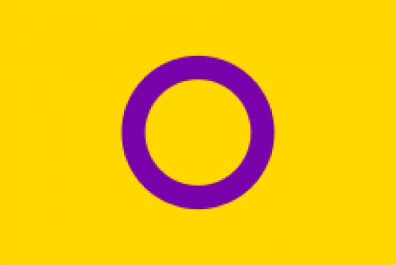 The Intersex Flag