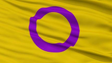 The Intersex Flag I promote here in the United States.